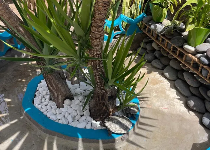 شقة Casita Playa Americas 150m De La Playa بلايا ذي لاس أميريكاس