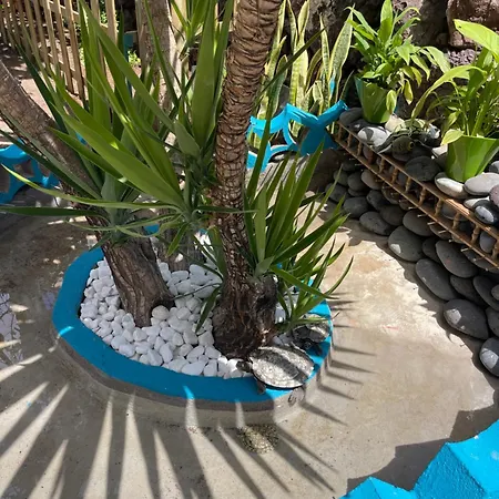 Апартаменты Playa, Pool & Nightlife Steps From Clubs & Beach Las Americas Плая-де-лас-Америкас